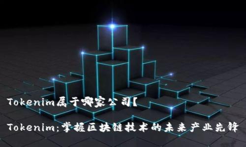 Tokenim属于哪家公司？

Tokenim：掌握区块链技术的未来产业先锋